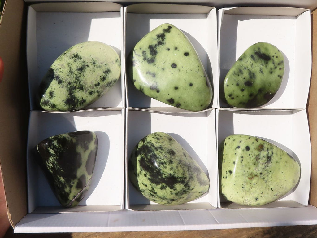 Polished Green Leopard Stone Standing Free Forms x 6 From Zimbabwe - Toprock Gemstones and Minerals 