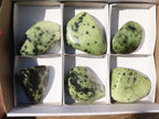 Polished Green Leopard Stone Standing Free Forms x 6 From Zimbabwe - Toprock Gemstones and Minerals 