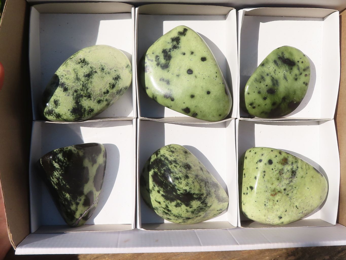 Polished Green Leopard Stone Standing Free Forms x 6 From Zimbabwe - Toprock Gemstones and Minerals 
