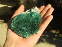 Natural Micro Botryoidal Crystalline Malachite Specimens  x 6 From Congo - Toprock Gemstones and Minerals 