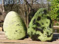Polished Green Leopard Stone Standing Free Forms x 6 From Zimbabwe - Toprock Gemstones and Minerals 