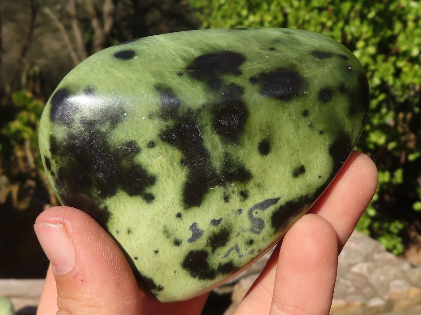 Polished Green Leopard Stone Standing Free Forms x 6 From Zimbabwe - Toprock Gemstones and Minerals 