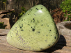 Polished Green Leopard Stone Standing Free Forms x 6 From Zimbabwe - Toprock Gemstones and Minerals 