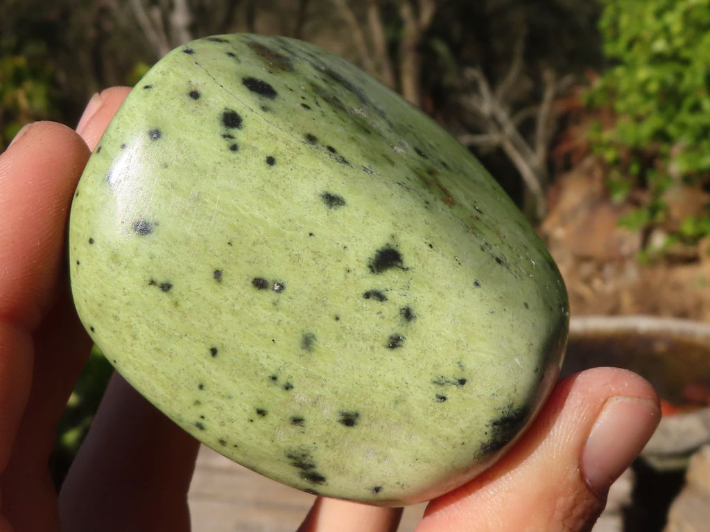Polished Green Leopard Stone Standing Free Forms x 6 From Zimbabwe - Toprock Gemstones and Minerals 