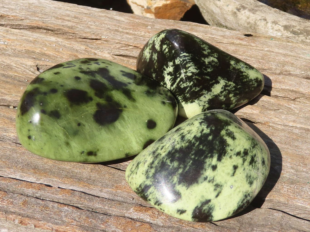 Polished Green Leopard Stone Standing Free Forms x 6 From Zimbabwe - Toprock Gemstones and Minerals 