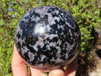 Polished Gabbro / Merlinite Spheres  x 2 From Ambatondrazaka, Madagascar - Toprock Gemstones and Minerals 