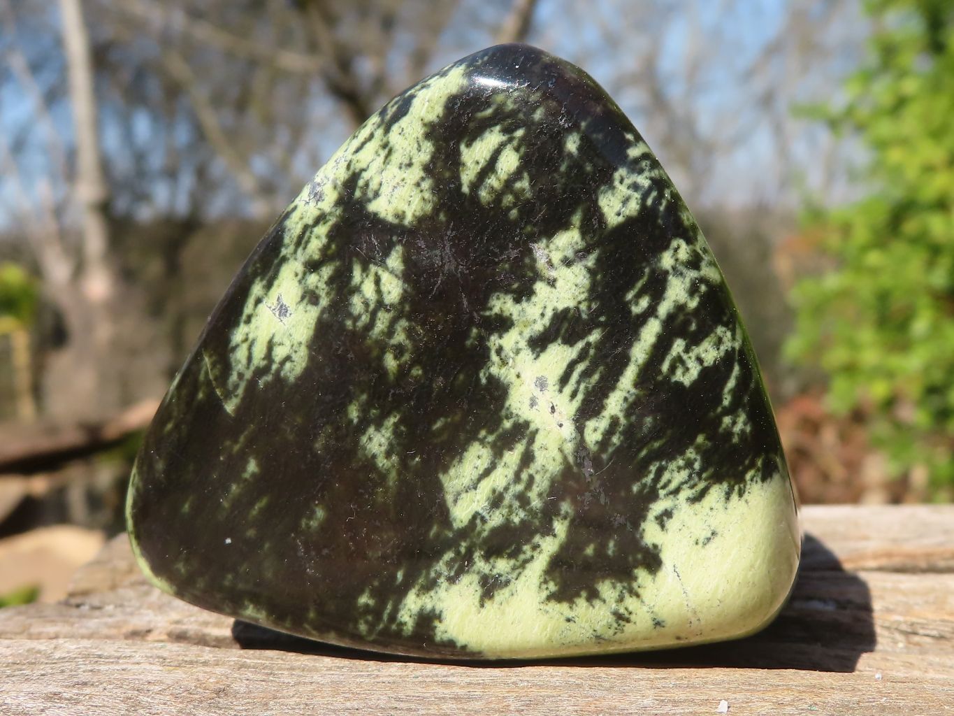 Polished Green Leopard Stone Standing Free Forms x 6 From Zimbabwe - Toprock Gemstones and Minerals 
