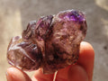 Natural Window Amethyst Crystals  x 12 From Chiredzi, Zimbabwe - Toprock Gemstones and Minerals 