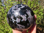 Polished Gabbro / Merlinite Spheres  x 2 From Ambatondrazaka, Madagascar - Toprock Gemstones and Minerals 