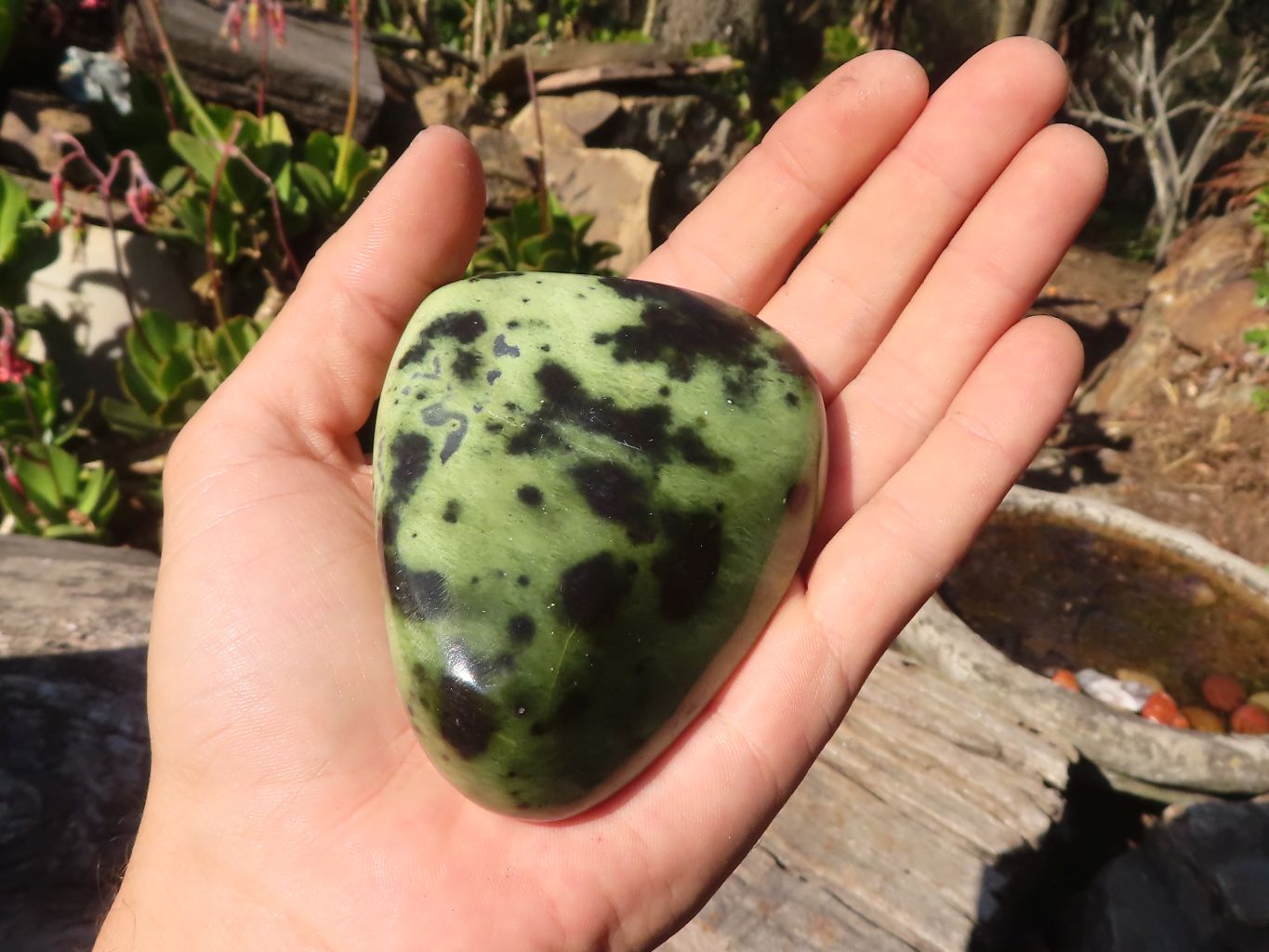 Polished Green Leopard Stone Standing Free Forms x 6 From Zimbabwe - Toprock Gemstones and Minerals 