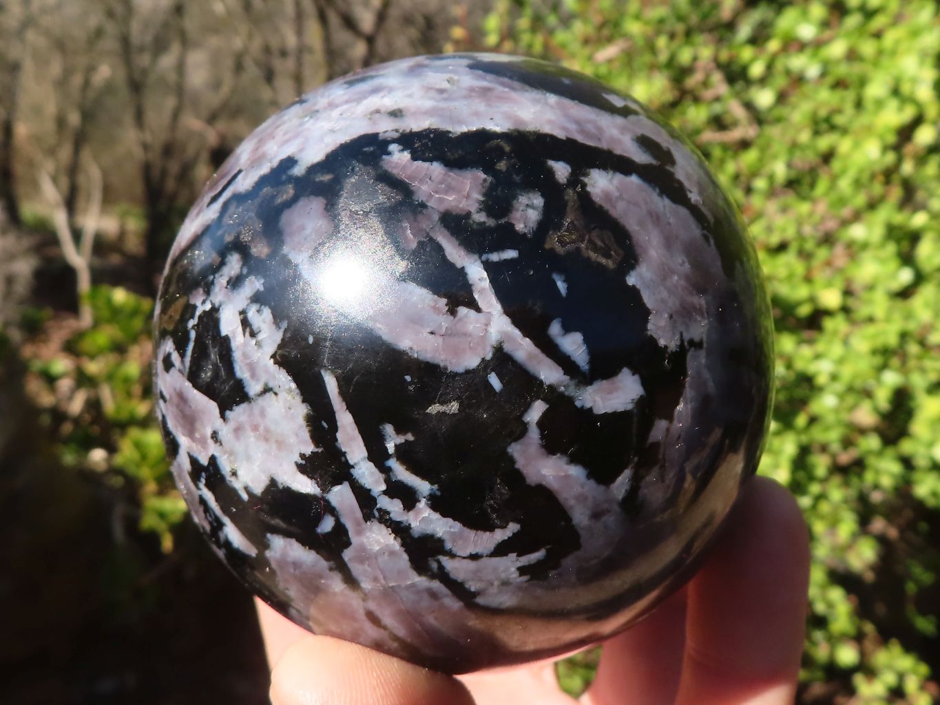 Polished Gabbro / Merlinite Spheres  x 2 From Ambatondrazaka, Madagascar - Toprock Gemstones and Minerals 