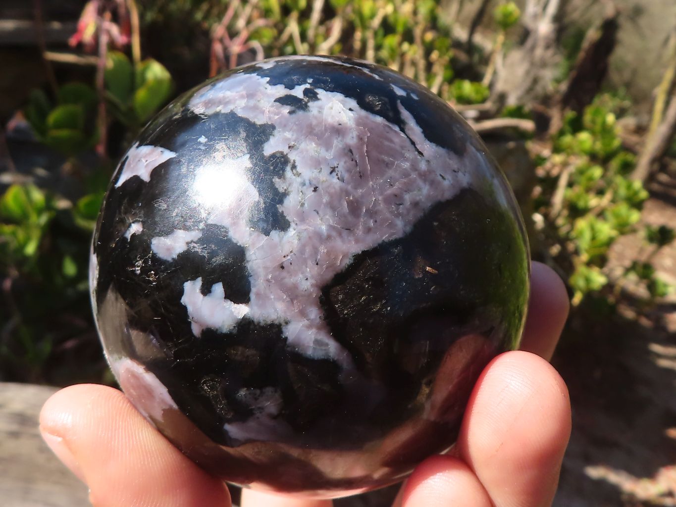 Polished Gabbro / Merlinite Spheres  x 2 From Ambatondrazaka, Madagascar - Toprock Gemstones and Minerals 