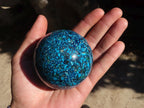 Polished Conglomerate Chrysocolla Spheres  x 2 From Congo - Toprock Gemstones and Minerals 