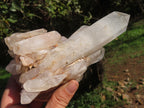 Natural Selected & Cleaned White Phantom Quartz Clusters x 3 From Madagascar - TopRock