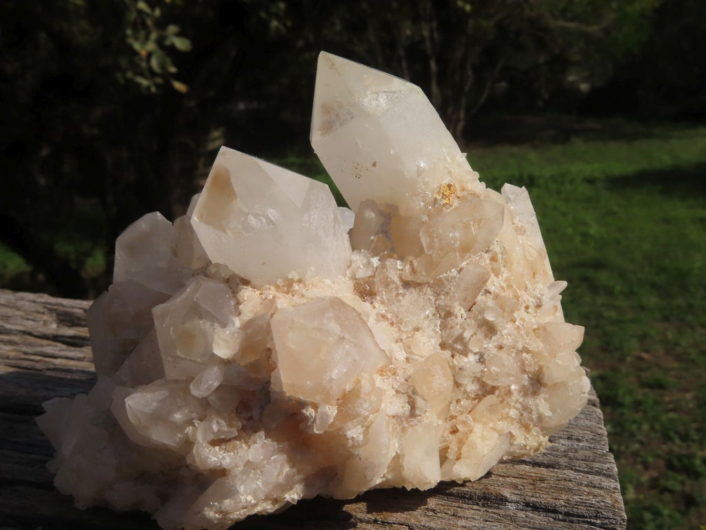 Natural Selected & Cleaned White Phantom Quartz Clusters x 3 From Madagascar - TopRock