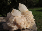 Natural Selected & Cleaned White Phantom Quartz Clusters x 3 From Madagascar - TopRock