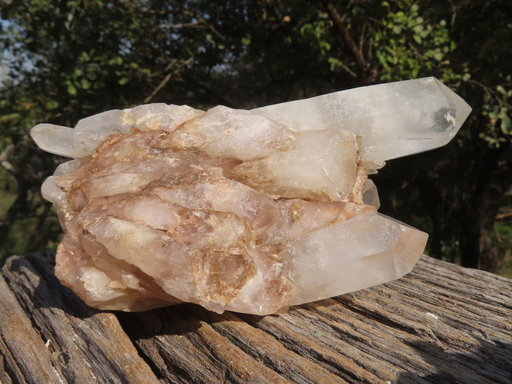 Natural Selected & Cleaned White Phantom Quartz Clusters x 3 From Madagascar - TopRock