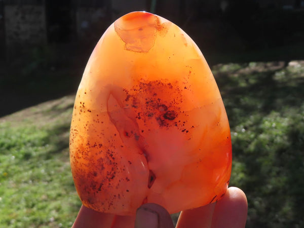 Polished Carnelian Agate Standing Free Forms With Stunning Patterns & Colours x 3 From Madagascar - TopRock