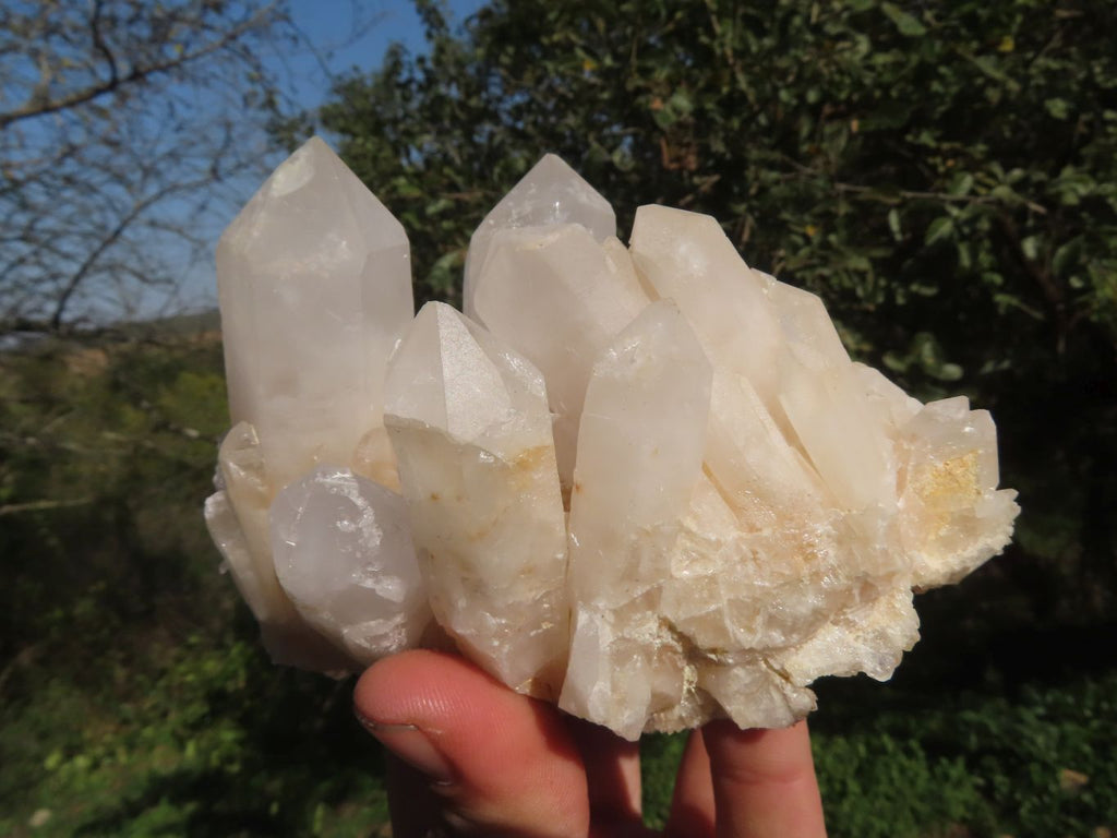 Natural Selected & Cleaned White Phantom Quartz Clusters x 3 From Madagascar - TopRock