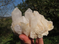 Natural Selected & Cleaned White Phantom Quartz Clusters x 3 From Madagascar - TopRock