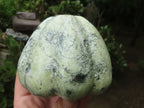 Polished Leopard Stone & Lepidolite Pumpkin Carvings  x 2 From Zimbabwe - TopRock