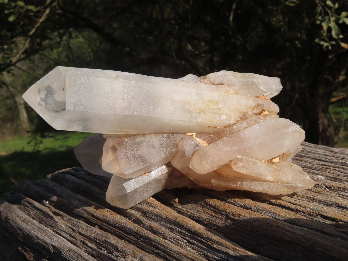 Natural Selected & Cleaned White Phantom Quartz Clusters x 3 From Madagascar - TopRock