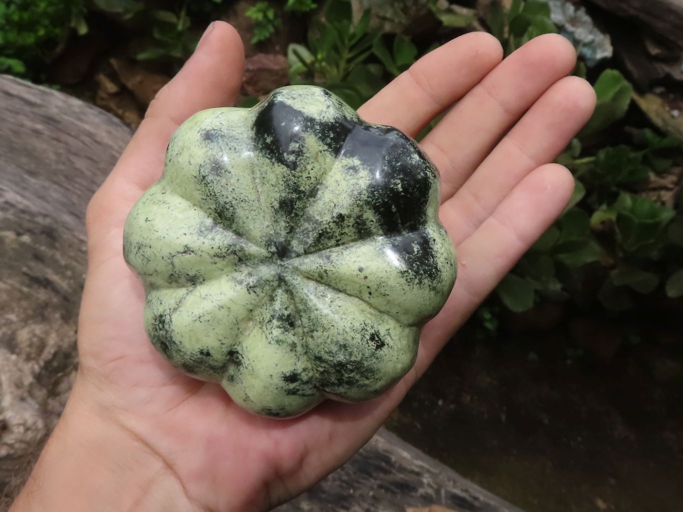 Polished Leopard Stone & Lepidolite Pumpkin Carvings  x 2 From Zimbabwe - TopRock