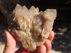 Natural Cascading Smokey Quartz Clusters x 3 From Luena, Congo - Toprock Gemstones and Minerals 