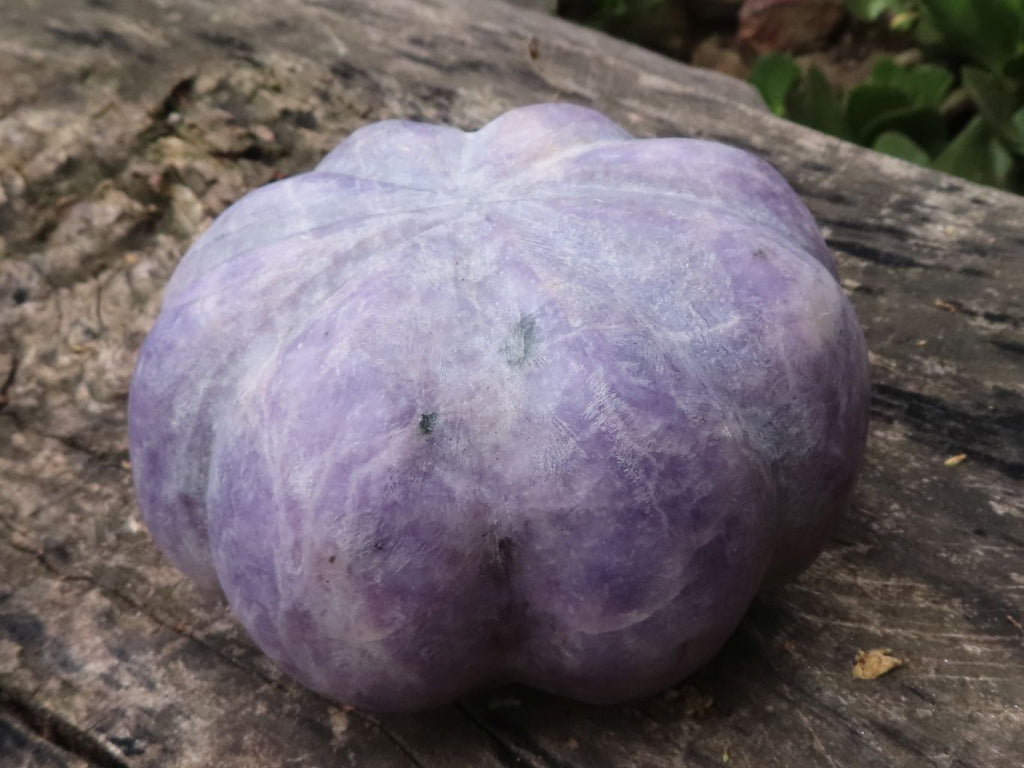 Polished Leopard Stone & Lepidolite Pumpkin Carvings  x 2 From Zimbabwe - TopRock