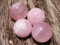 Polished  Star Rose Quartz Spheres x 4 From Ambatondrazaka, Madagascar - TopRock