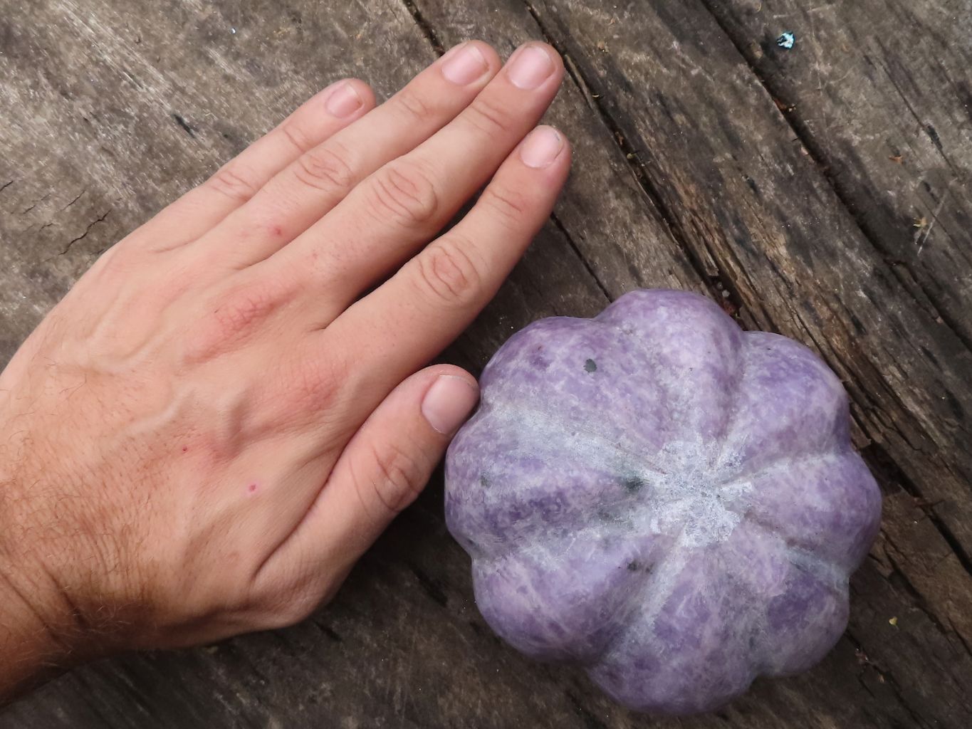 Polished Leopard Stone & Lepidolite Pumpkin Carvings  x 2 From Zimbabwe - TopRock