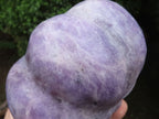 Polished Leopard Stone & Lepidolite Pumpkin Carvings  x 2 From Zimbabwe - TopRock