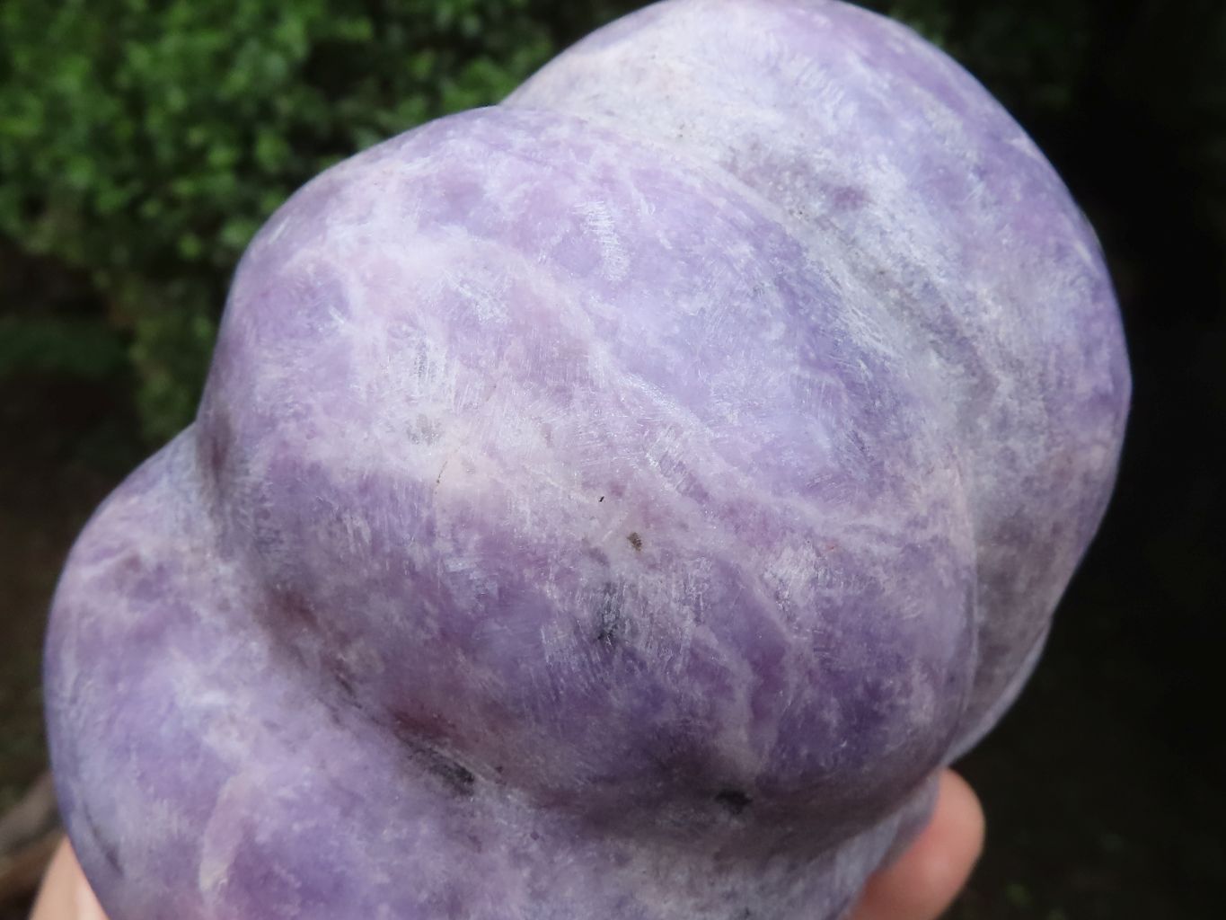Polished Leopard Stone & Lepidolite Pumpkin Carvings  x 2 From Zimbabwe - TopRock