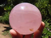 Polished  Star Rose Quartz Spheres x 4 From Ambatondrazaka, Madagascar - TopRock