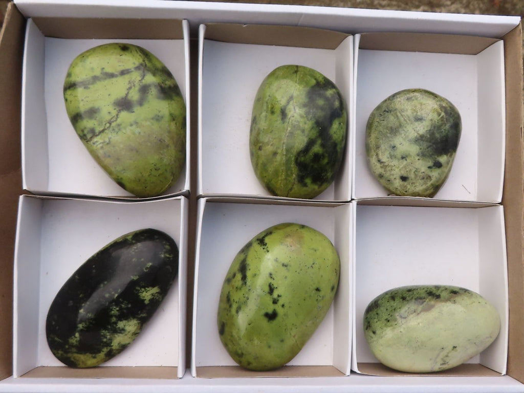 Polished Spotted Leopard Stone Free Forms  x 6 From Zimbabwe - Toprock Gemstones and Minerals 