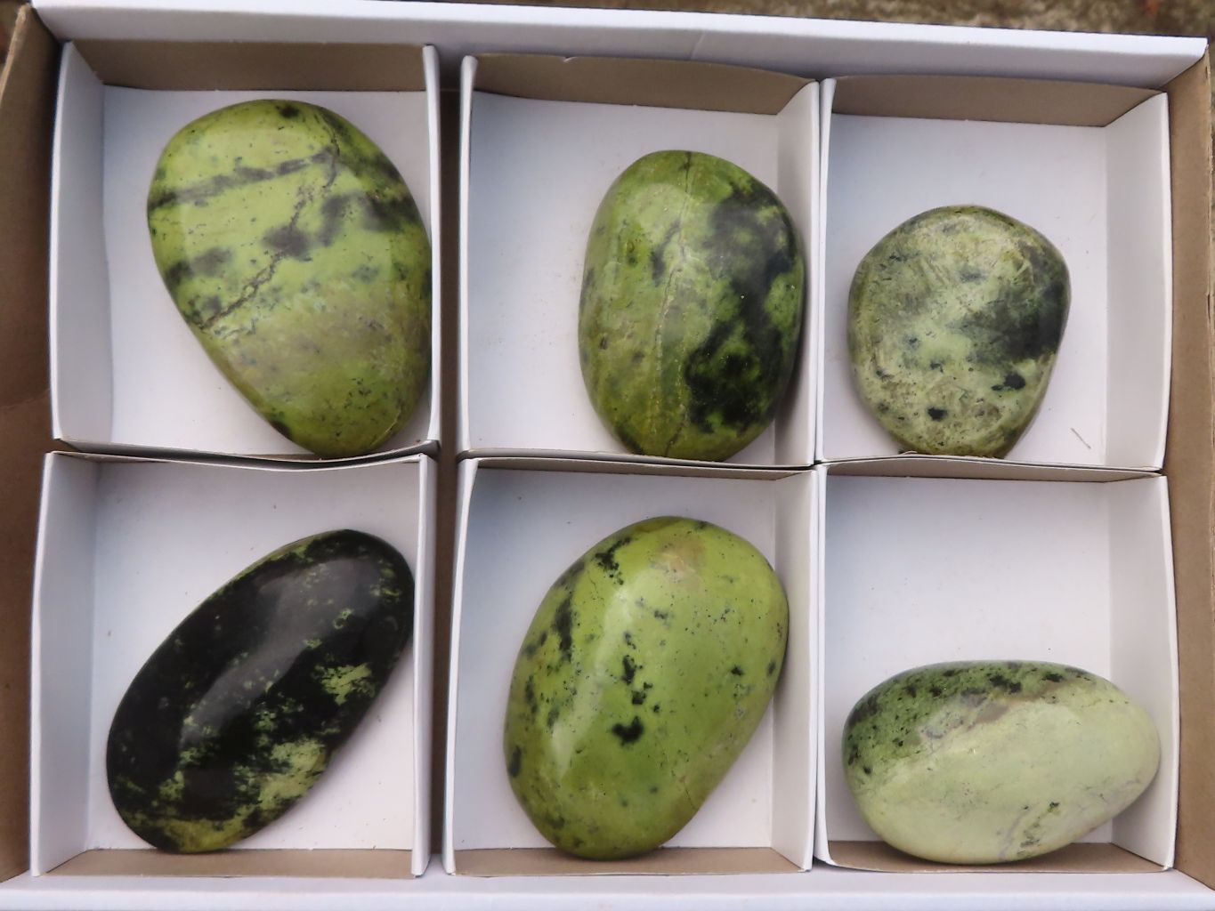 Polished Spotted Leopard Stone Free Forms  x 6 From Zimbabwe - Toprock Gemstones and Minerals 