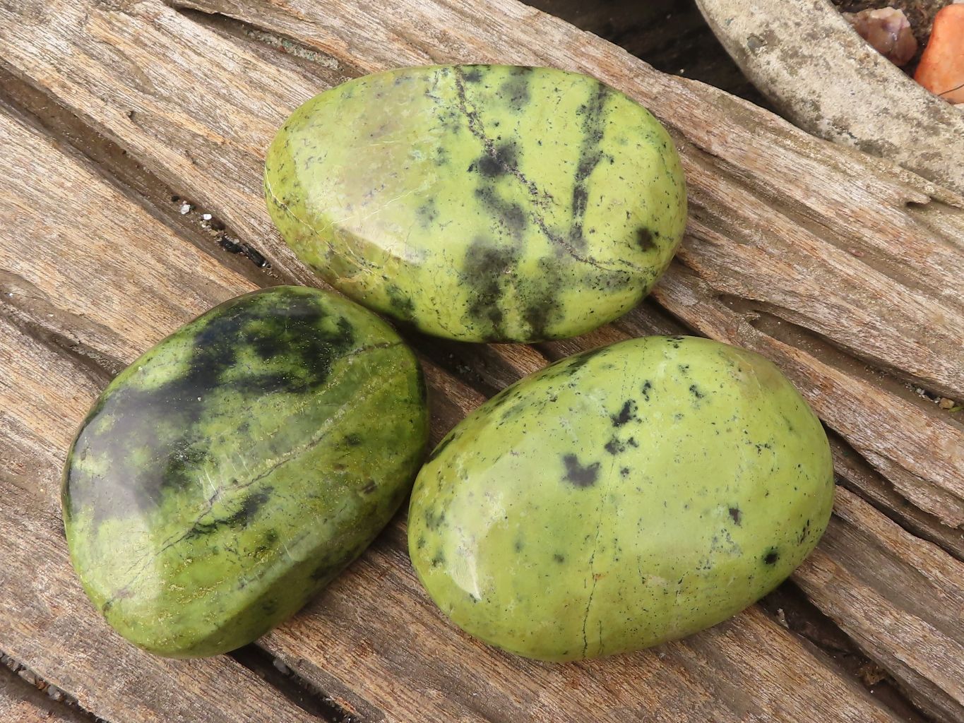Polished Spotted Leopard Stone Free Forms  x 6 From Zimbabwe - Toprock Gemstones and Minerals 