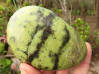 Polished Spotted Leopard Stone Free Forms  x 6 From Zimbabwe - Toprock Gemstones and Minerals 