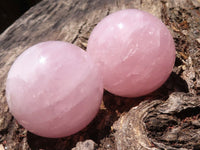 Polished  Star Rose Quartz Spheres x 4 From Ambatondrazaka, Madagascar - TopRock