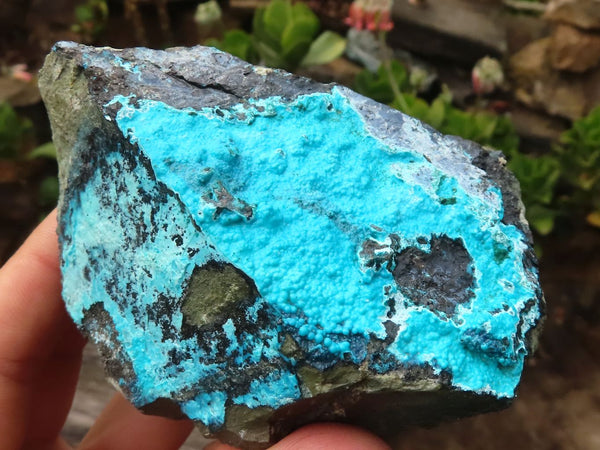 Natural Blue Silica Chrysocolla Specimens  x 4 From Congo