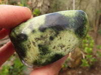Polished Spotted Leopard Stone Free Forms  x 6 From Zimbabwe - Toprock Gemstones and Minerals 