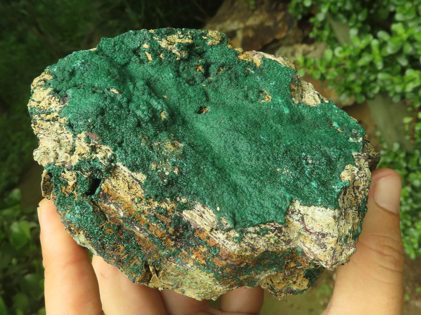 Natural Crystalline Malachite Specimens  x 2 From Congo - TopRock