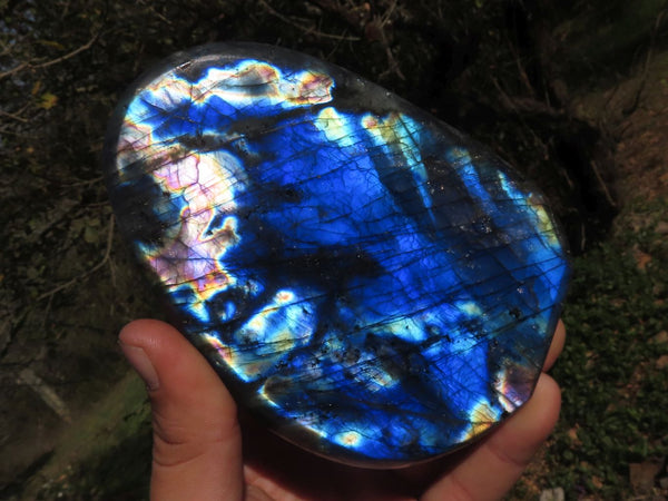 Polished Blue Labradorite Standing Free Forms With Intense Full Face Flash x 2 From Tulear, Madagascar - TopRock