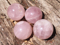 Polished  Star Rose Quartz Spheres x 4 From Ambatondrazaka, Madagascar - TopRock