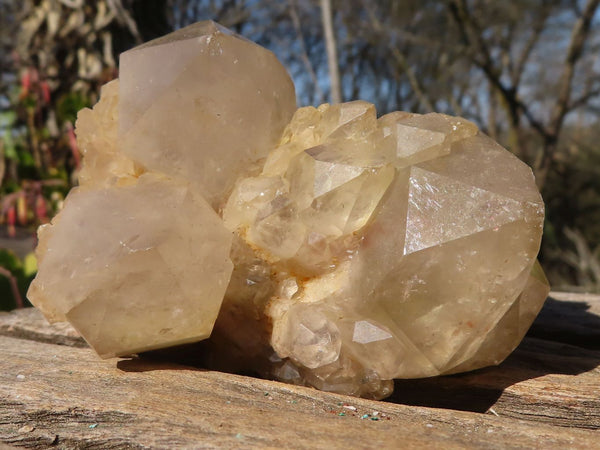 Natural Cascading Smokey Quartz Clusters x 3 From Luena, Congo - Toprock Gemstones and Minerals 