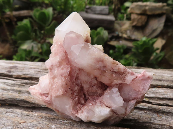 Natural Selected White Phantom Hematoid Quartz Crystals  x 24 From Madagascar - TopRock
