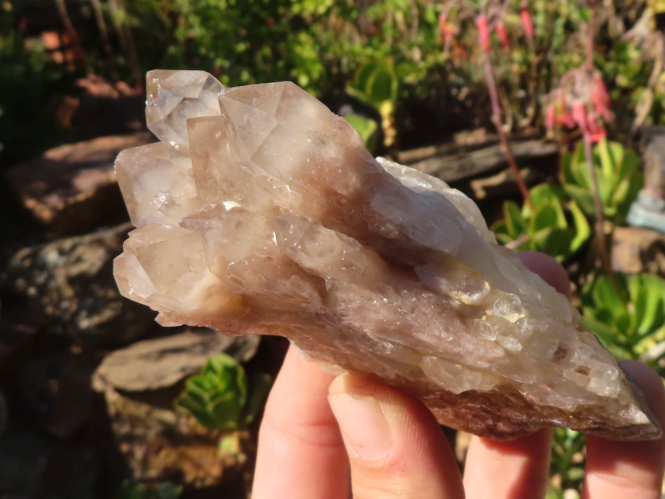 Natural Cascading Smokey Quartz Clusters x 3 From Luena, Congo - Toprock Gemstones and Minerals 