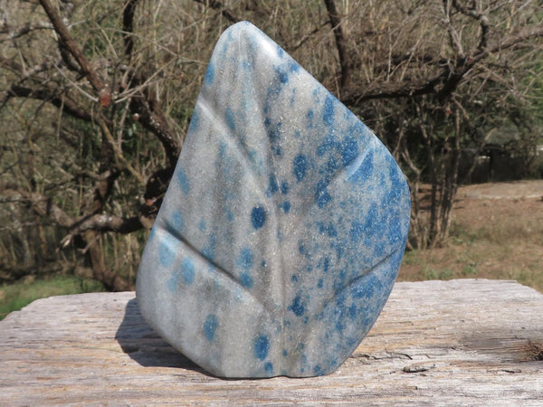 Polished Stunning Blue Spotted Spinel Quartz Standing Leaf Sculpture x 1 From Madagascar - TopRock