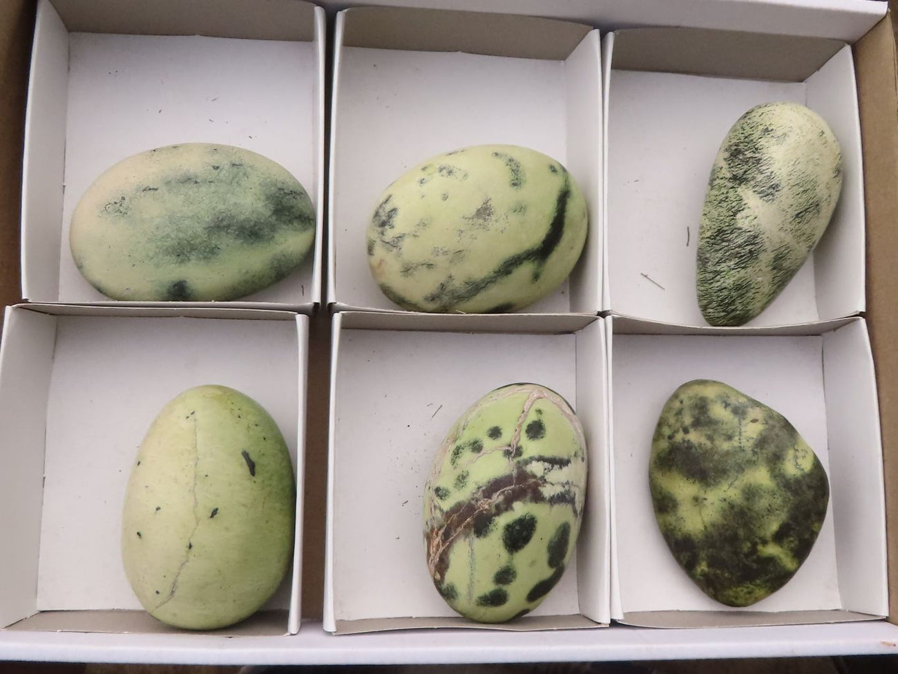 Polished Spotted Leopard Stone Gallets x 6 From Zimbabwe