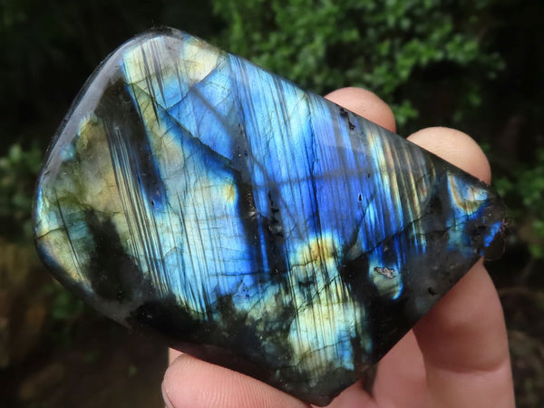 Polished Flashy Labradorite Standing Free Forms  x 6 From Tulear, Madagascar - TopRock